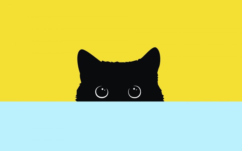 Кошка Минимализм