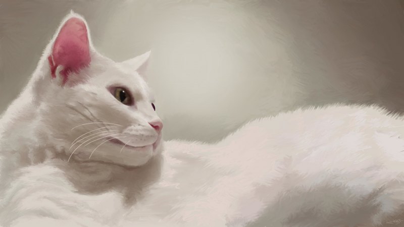 Белая кошка арт