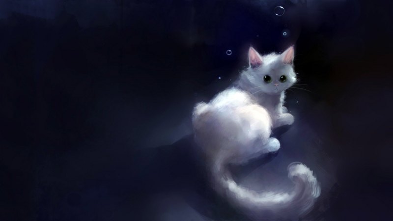 Коты арты