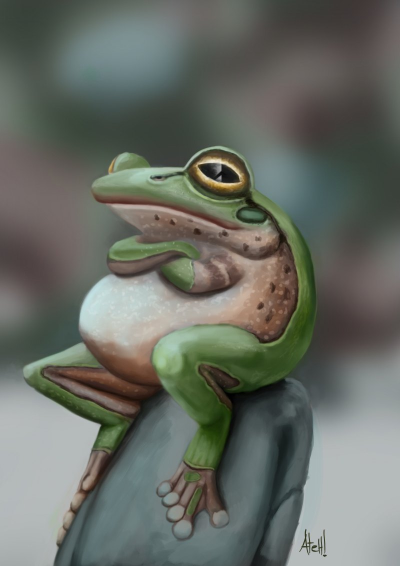Милые лягушки