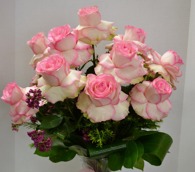 Роза Аква 50см