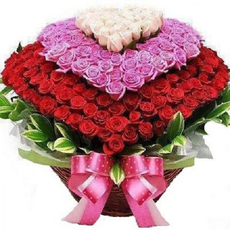 Цахикнер Цахикнер