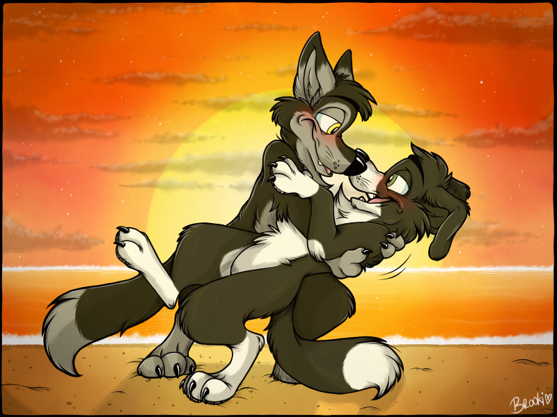 Бордер колли фурри арт