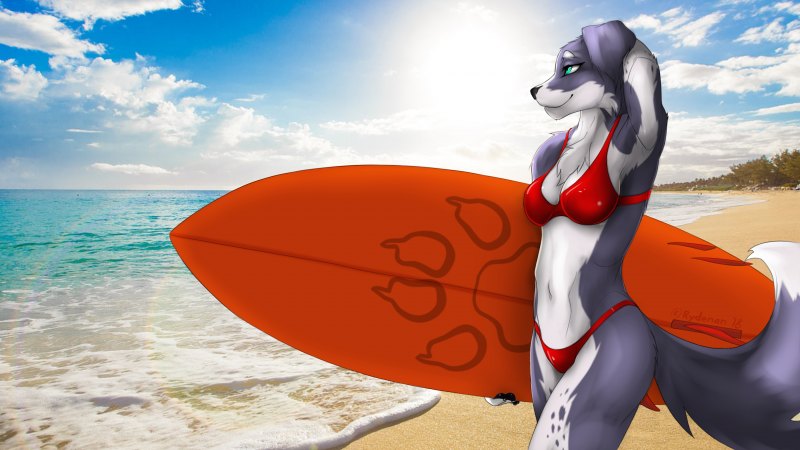 Фурри генерал