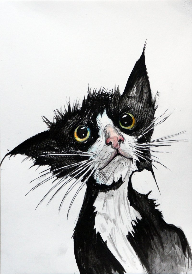 Черно белый кот арт