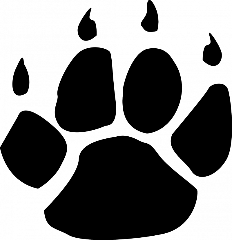 Кошачьи лапки следы