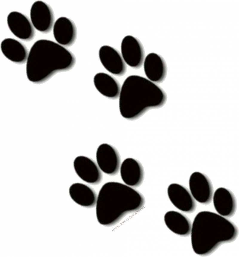 Отпечаток лапки