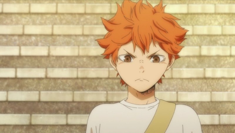 Сёё Хината волейбол