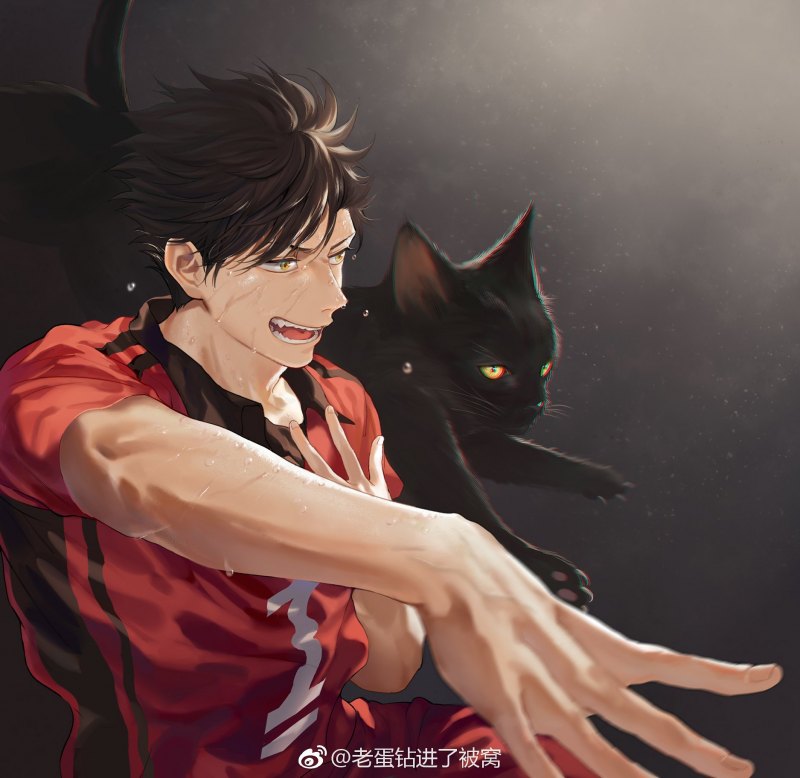 Куроо Тэцуро кот