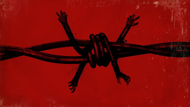 Тасманский дьявол мультик девочка