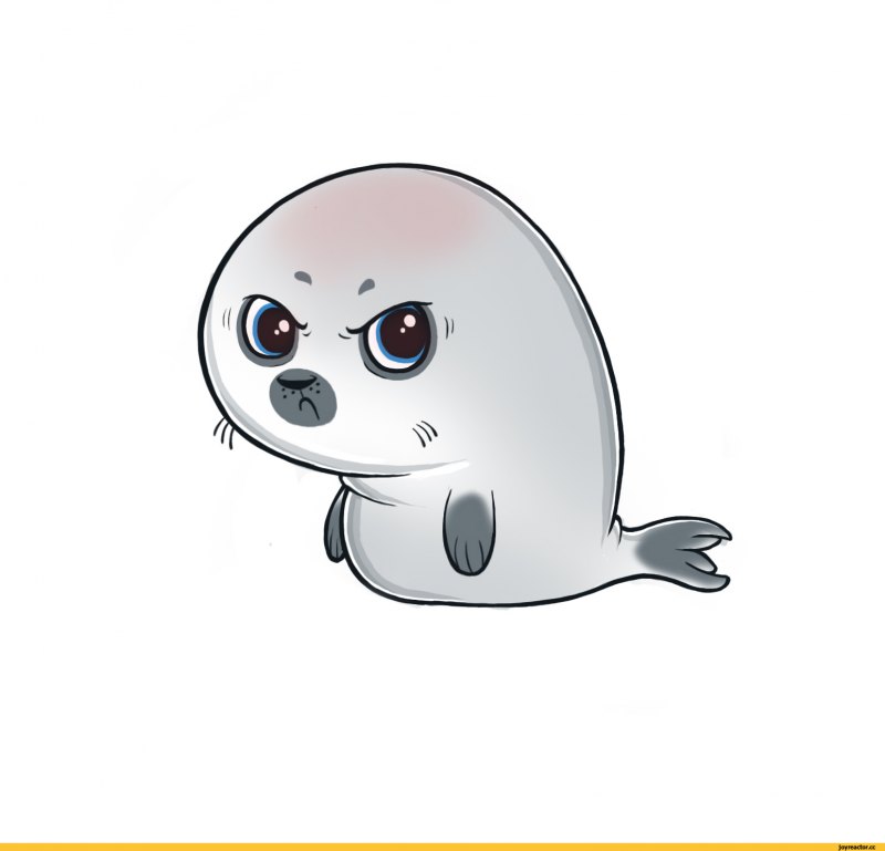 Кавайный тюлень