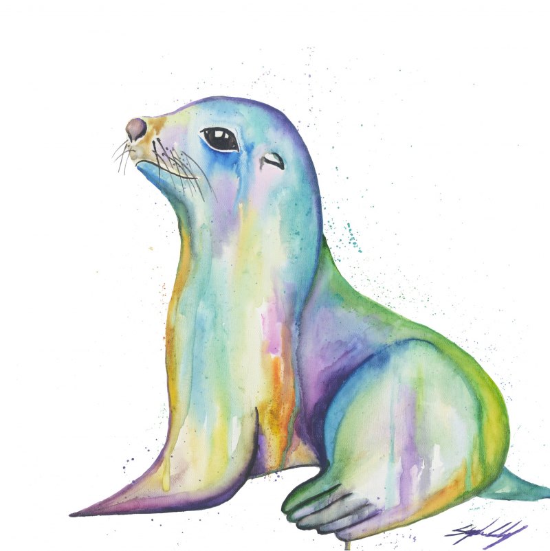 Морской котик арт