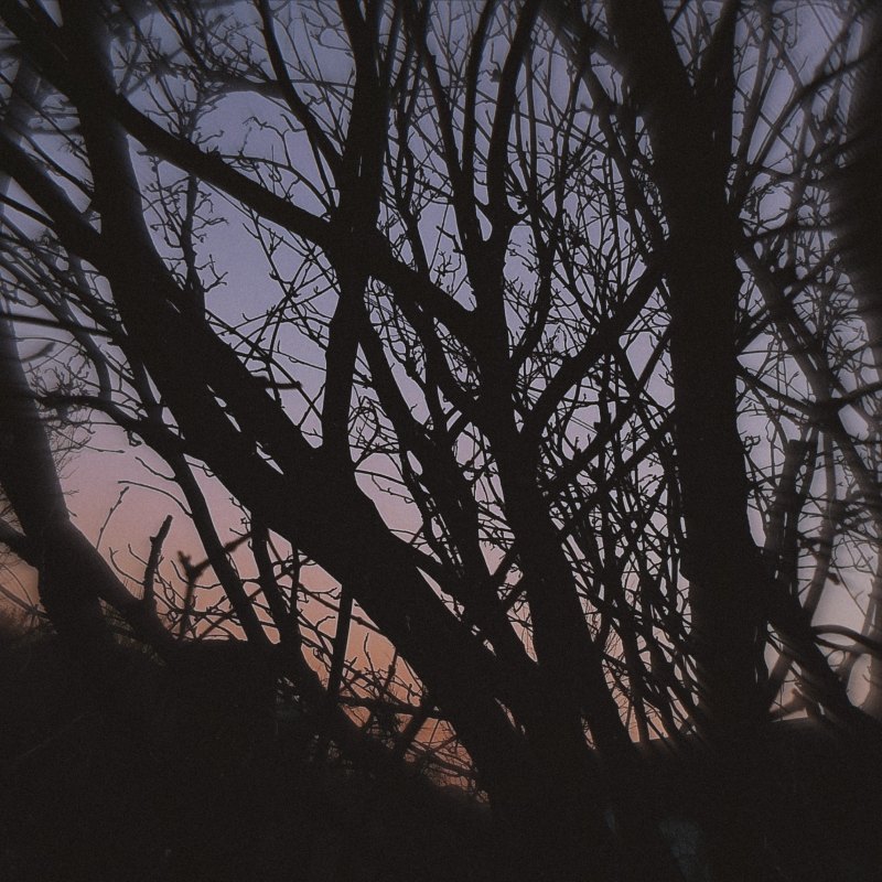 Тусклая Эстетика