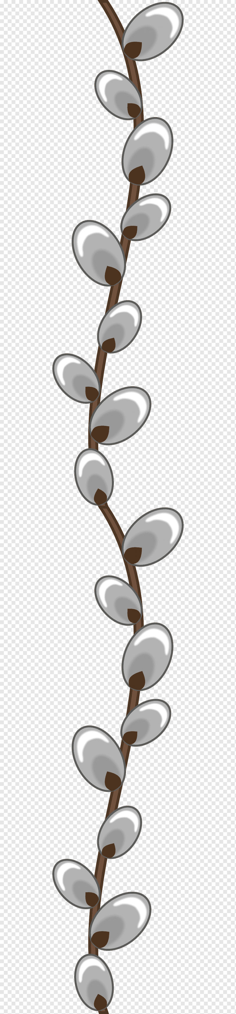 Веточка вербы вектор