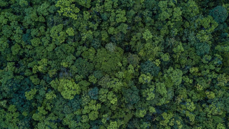 Текстуры для генплана в фотошопе