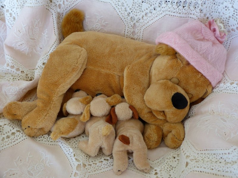 Игрушка для собак