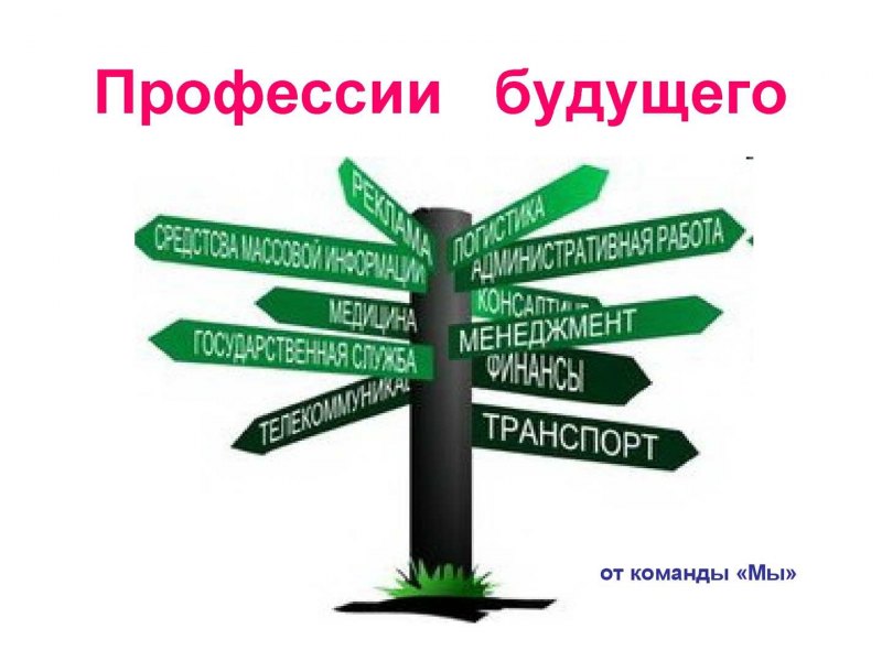 Направления профессий. Стороны профессии. Куда пойти учиться анимация. Не спешите с выбором профессий.