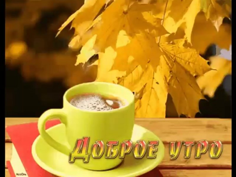Теплого осеннего утра