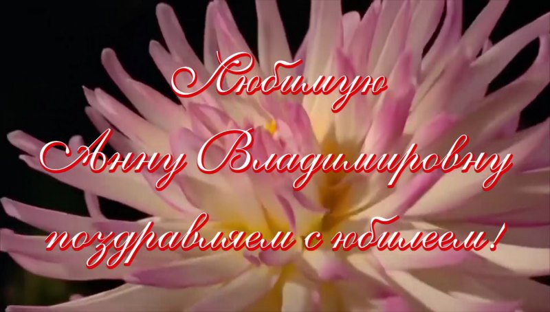 С днём рождения Анна Владиммррвна