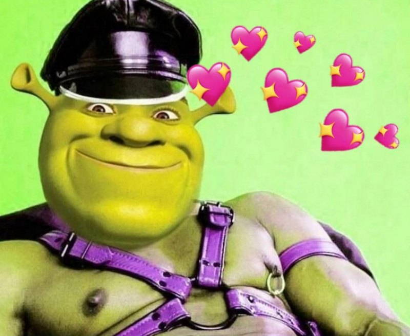 Шрек полицейский