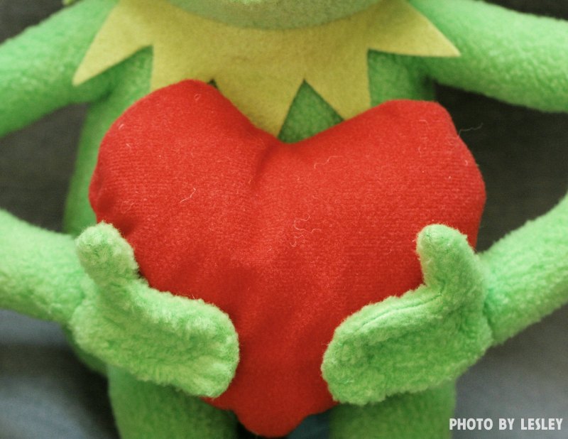 Лягушка Гирмит Эстетика