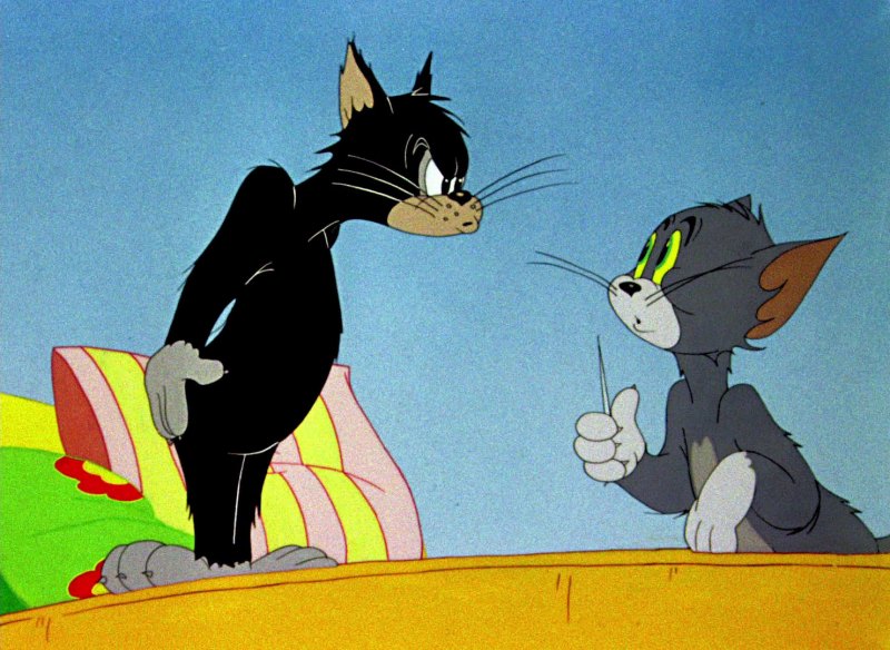 Том и Джерри поздний ужин