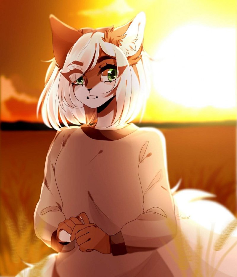 Фурри кошка