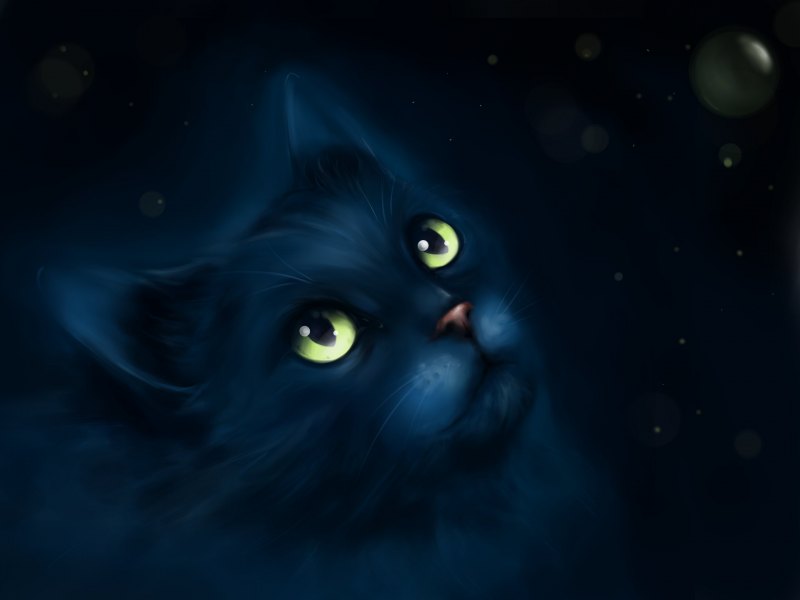 Черная кошка фэнтези