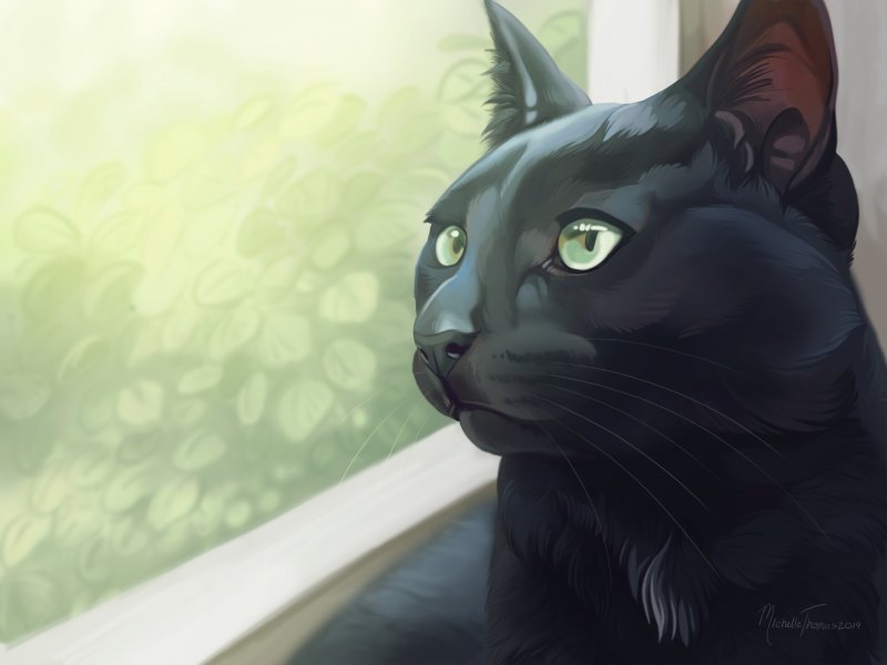 Черная кошка арт