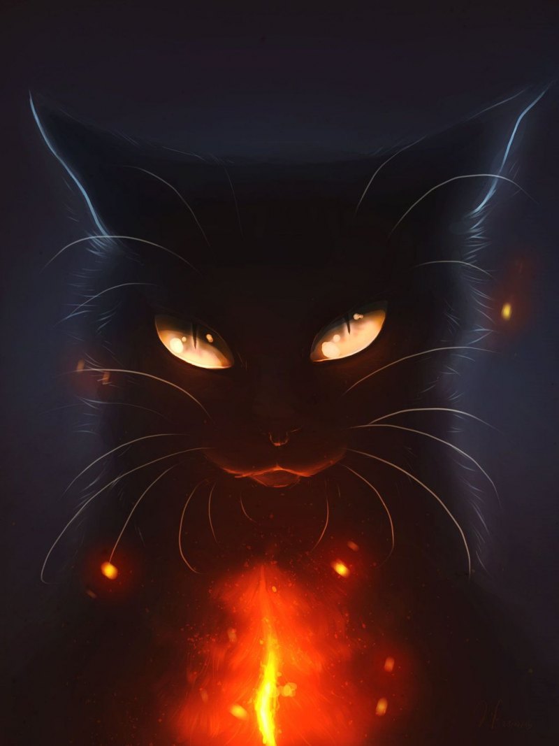 Коты-Воители. Длинные тени