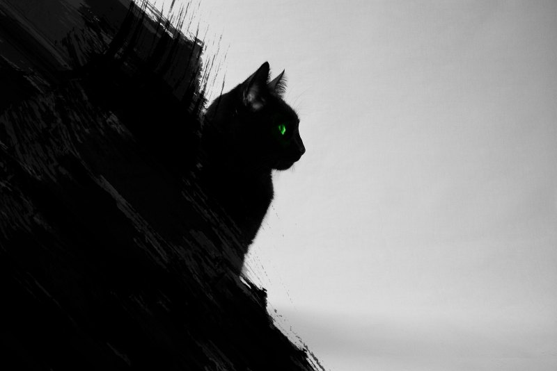 Чёрный кот арт