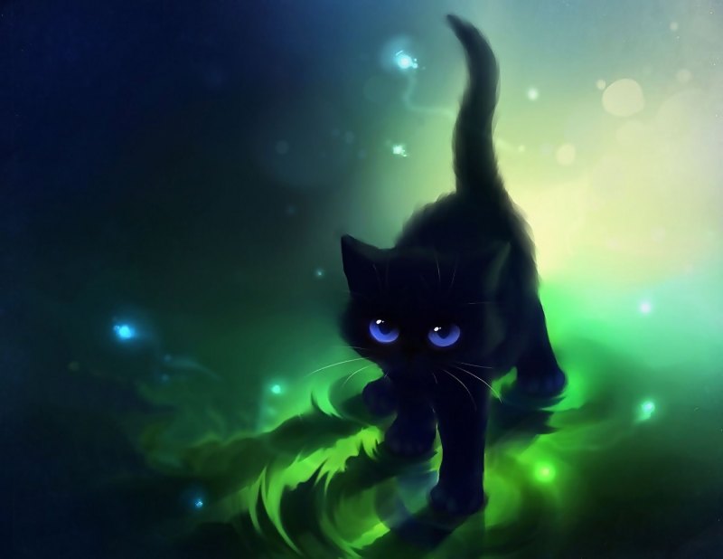 Аниме кот