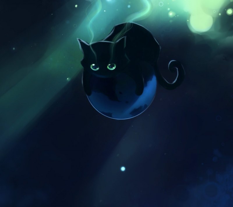 Apofiss DEVIANTART кошки