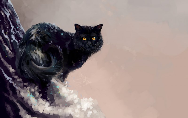 Фэнтези кошки