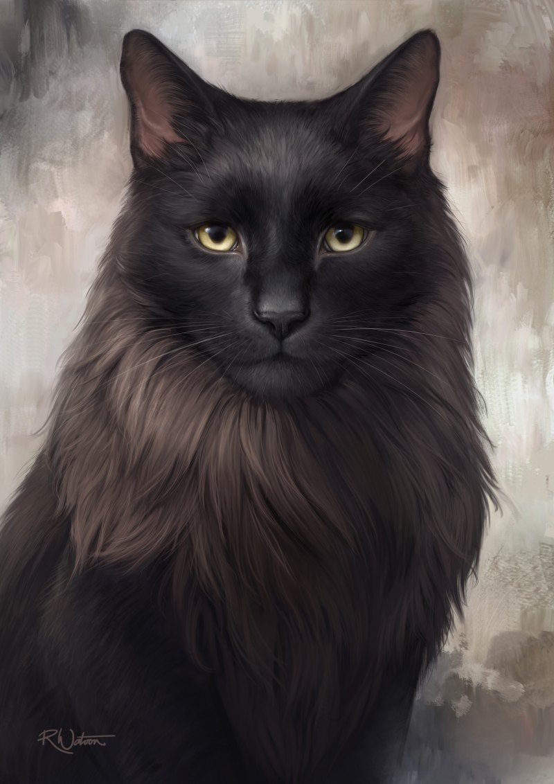 Чёрный кот арт