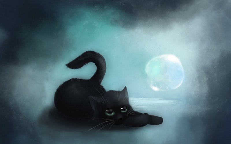 Черная кошка арт