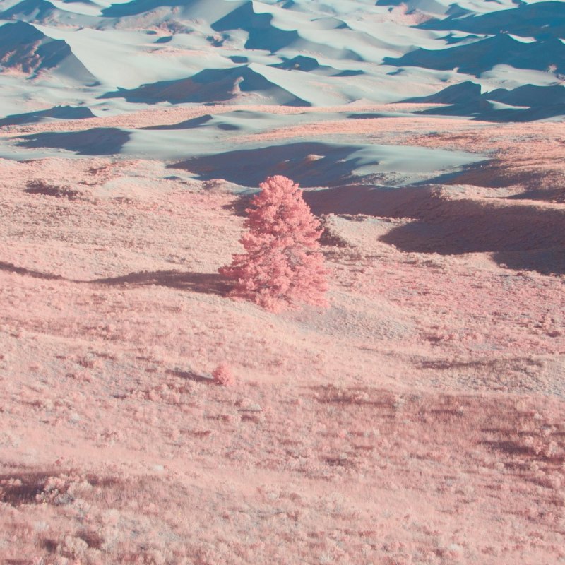 Эстетика розовового цвета