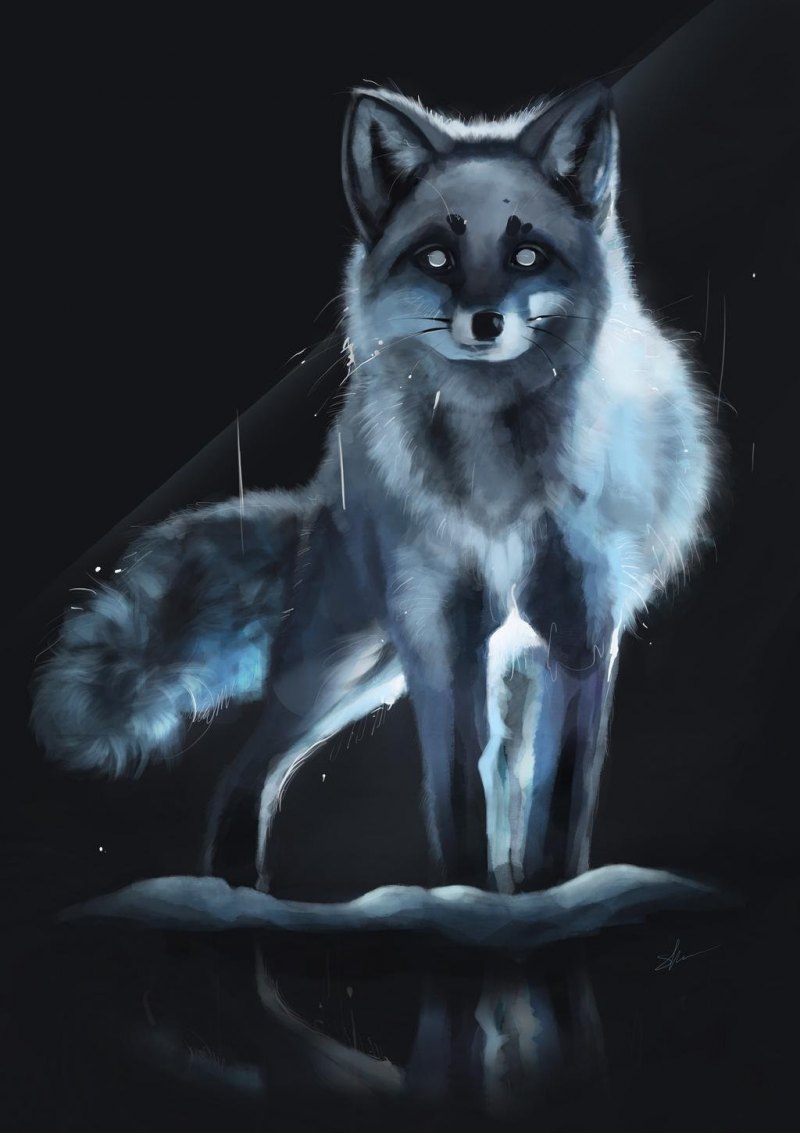 Чернобурка арт