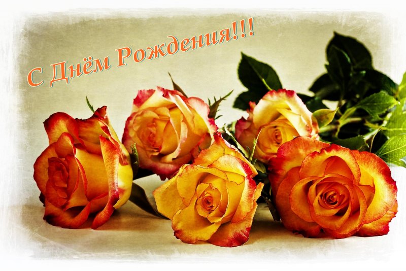 С днем рождения желтые розы