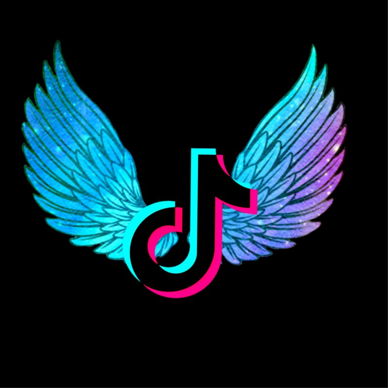 Значок тик ток с крыльями