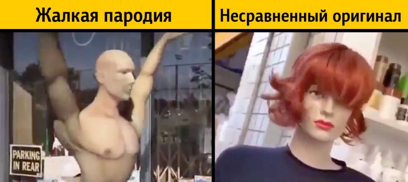 Стонкс голова