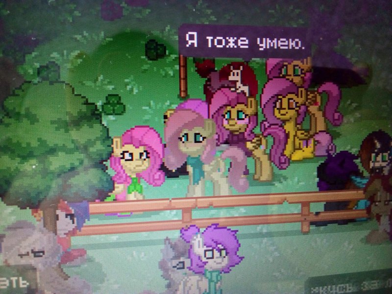 Флаттершай Pony Town