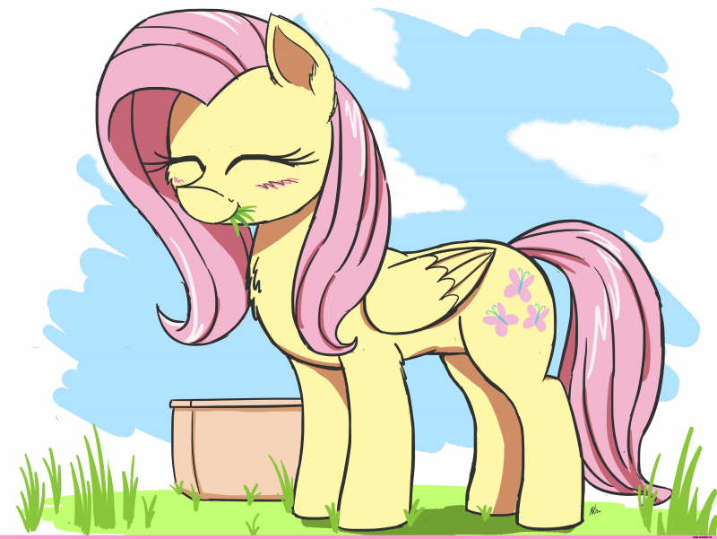 Флаттершай превращение