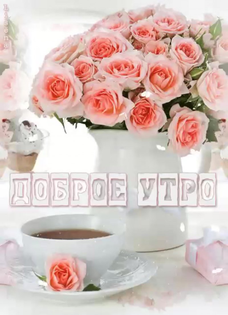 С добрым утром розы