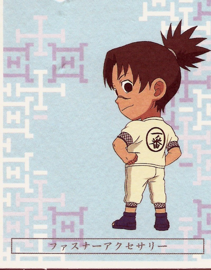 Ирука бежит