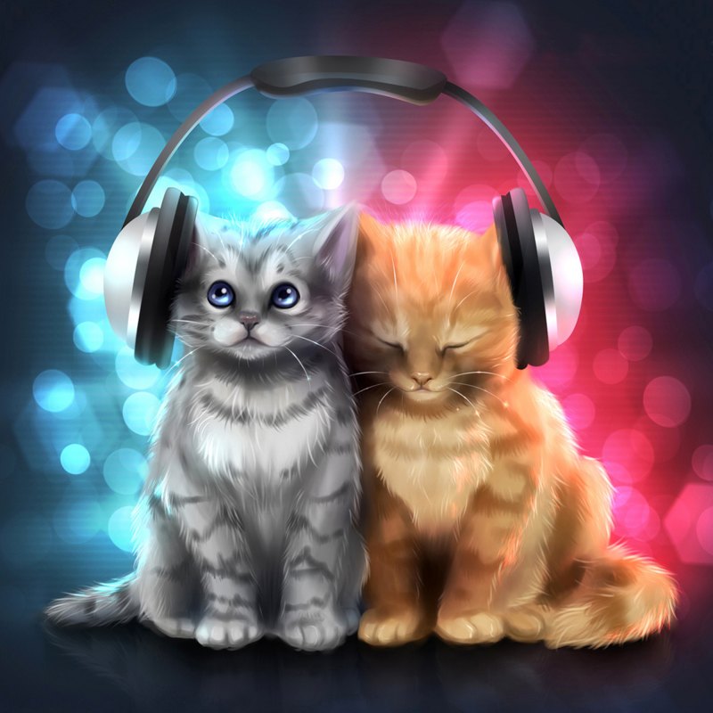 Кот с наушниками