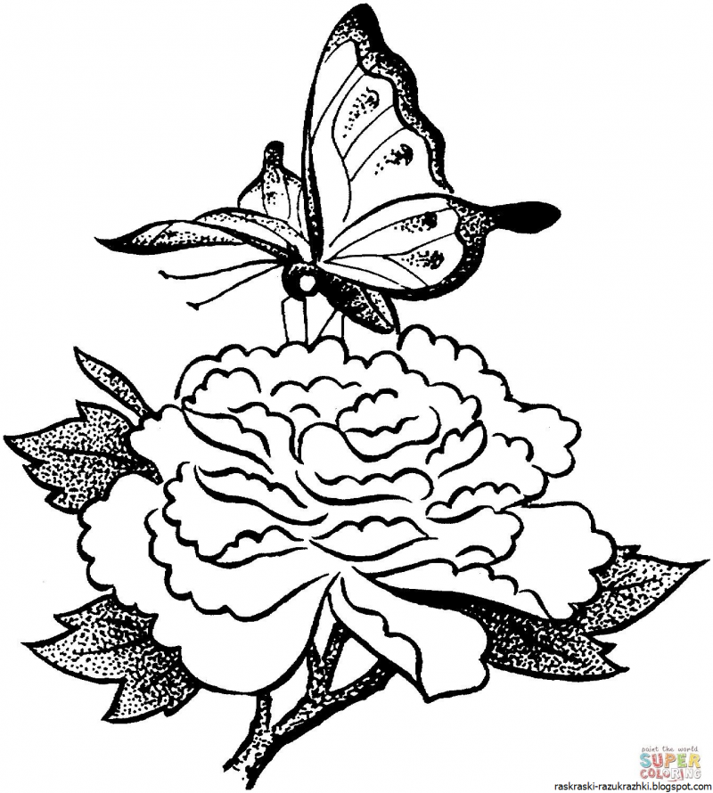 Распечатать рисунки для выжигания. Цветы и бабочки. Раскраска. Раскраски для девочек цветы и бабочки. Раскраски цветов и бабочек. Бабочка на цветочке раскраска.