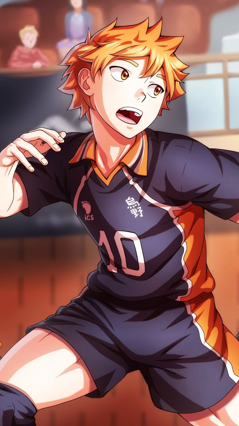 Хината шоё волейбол