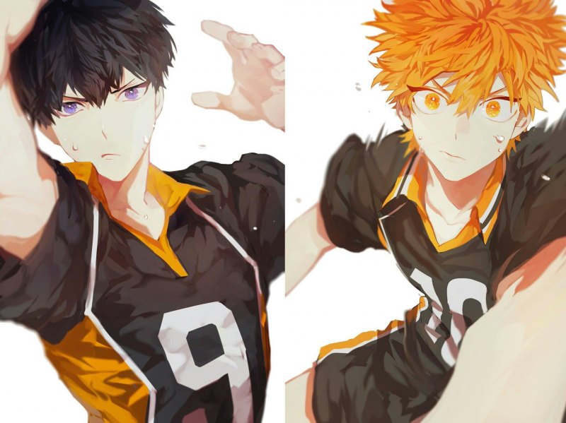 Хината шоё Король