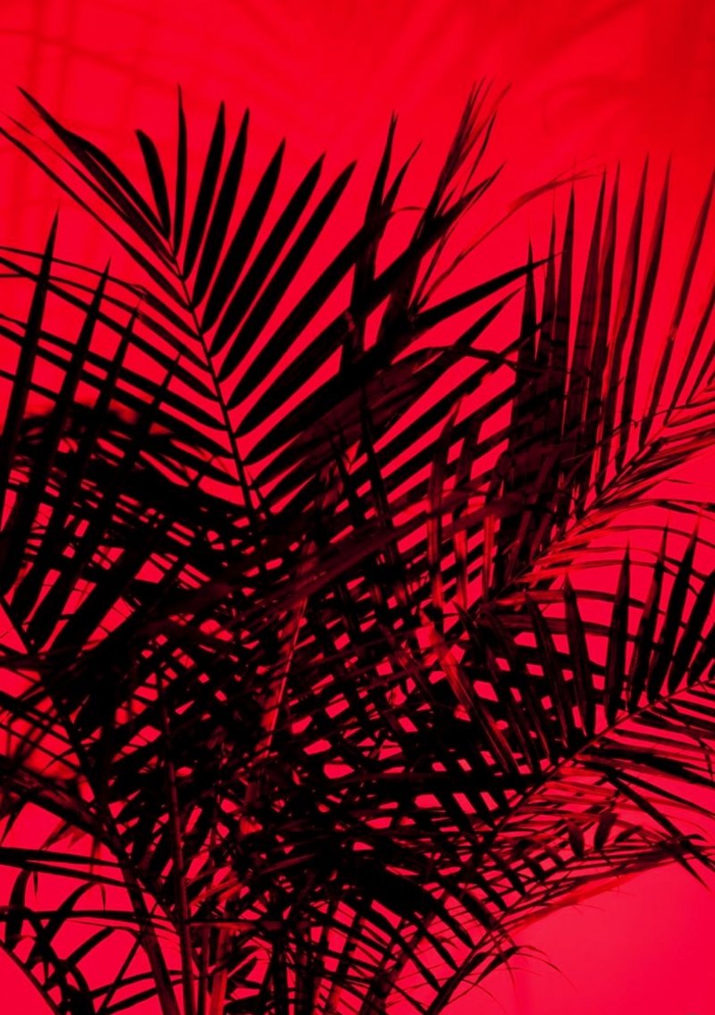 Эстетика красного цвета